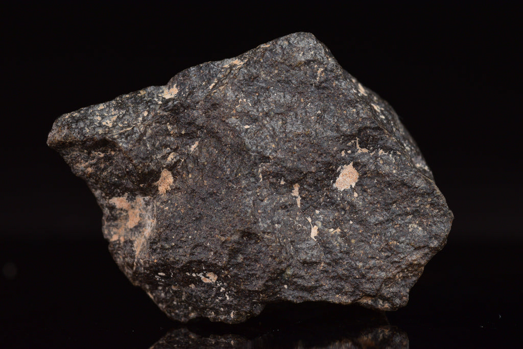 NWA 17489 (CO3.0) Carbonaceous Chondrite Meteorite
