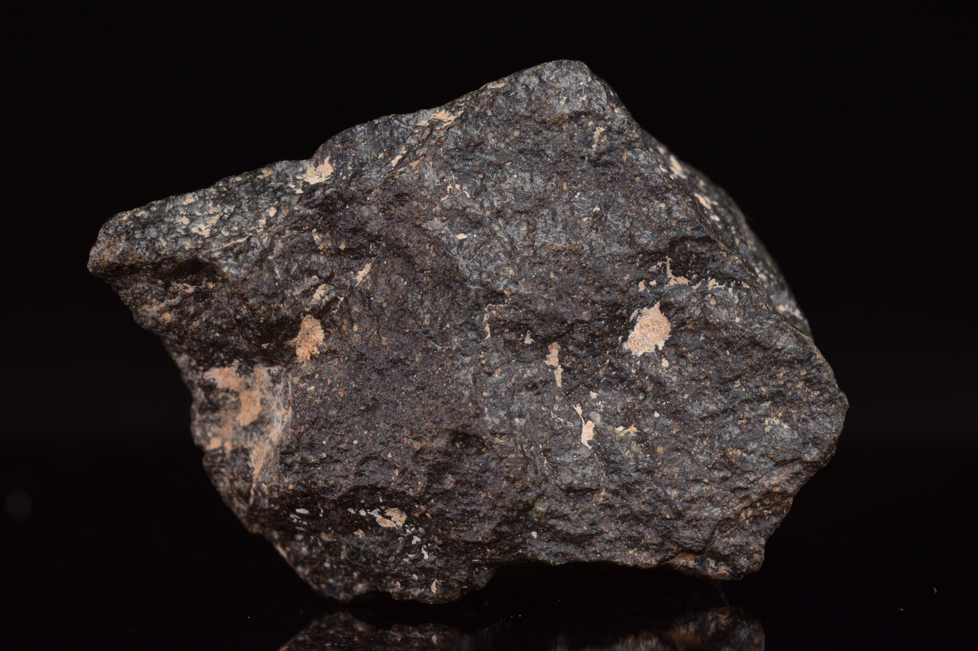 NWA 17489 (CO3.0) Carbonaceous Chondrite Meteorite