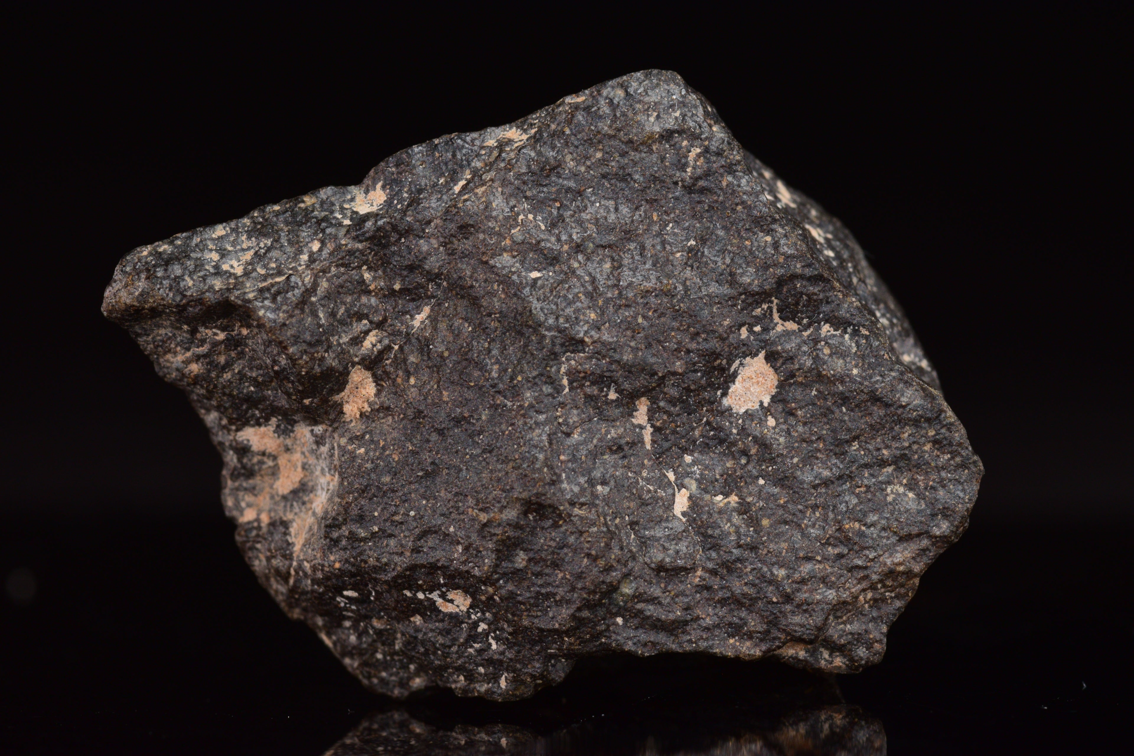 NWA 17489 (CO3.0) Carbonaceous Chondrite Meteorite