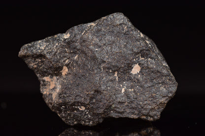 NWA 17489 (CO3.0) Carbonaceous Chondrite Meteorite