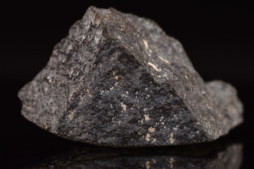 NWA 17489 (CO3.0) Carbonaceous Chondrite Meteorite
