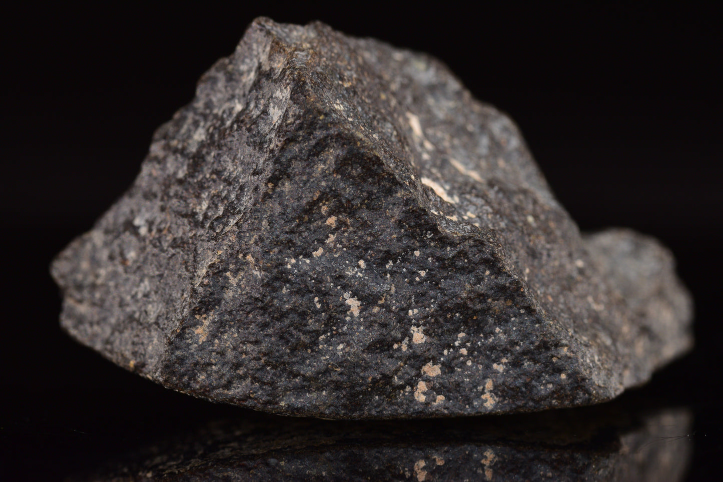 NWA 17489 (CO3.0) Carbonaceous Chondrite Meteorite