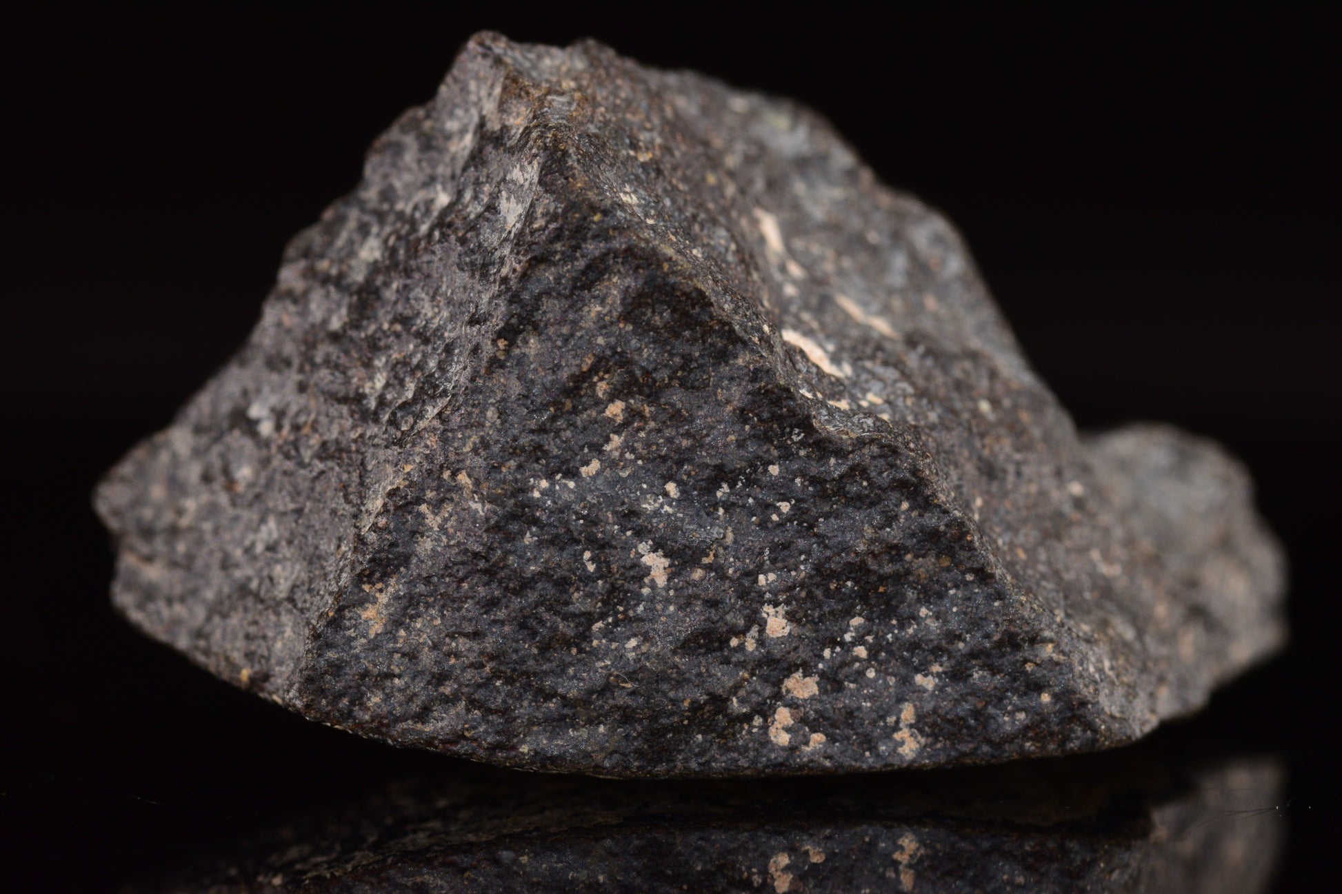 NWA 17489 (CO3.0) Carbonaceous Chondrite Meteorite