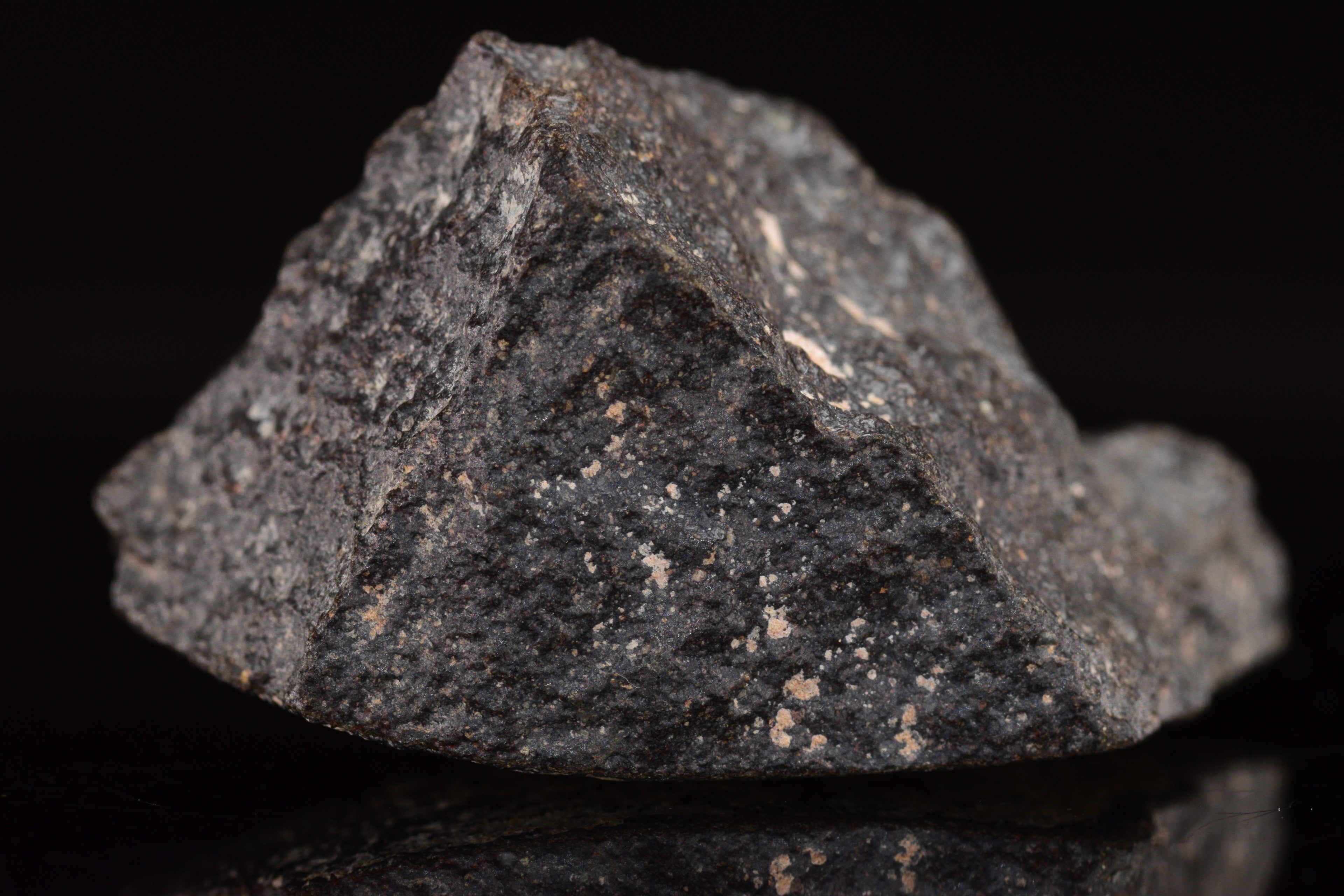 NWA 17489 (CO3.0) Carbonaceous Chondrite Meteorite