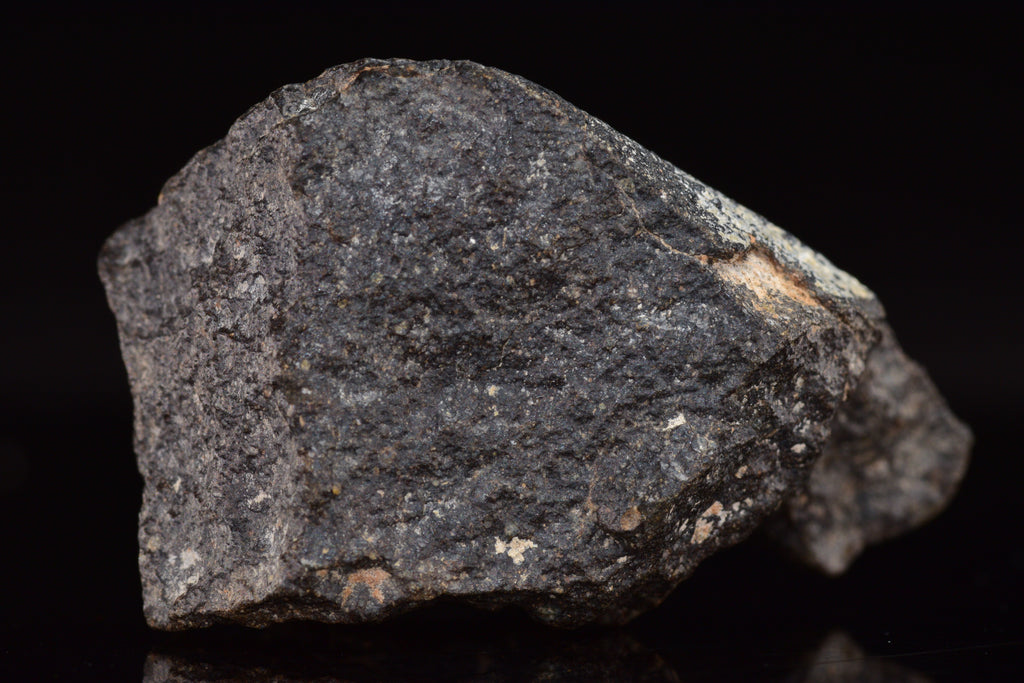 NWA 17489 (CO3.0) Carbonaceous Chondrite Meteorite