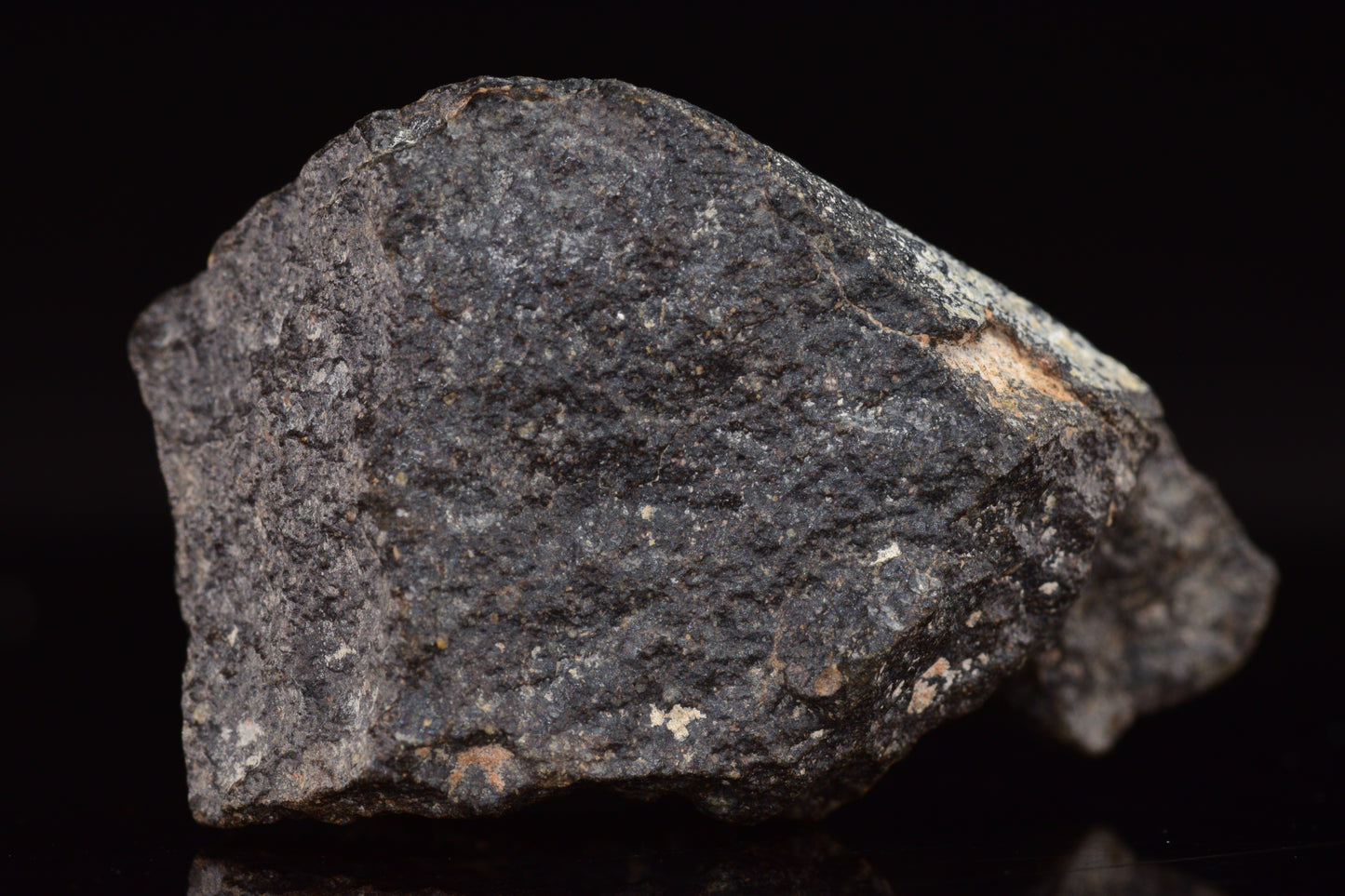 NWA 17489 (CO3.0) Carbonaceous Chondrite Meteorite