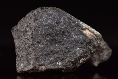 NWA 17489 (CO3.0) Carbonaceous Chondrite Meteorite