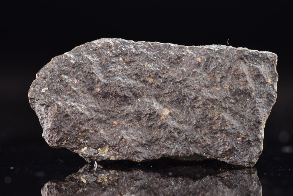 NWA 17489 (CO3.0) Carbonaceous Chondrite Meteorite