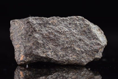 NWA 17489 (CO3.0) Carbonaceous Chondrite Meteorite