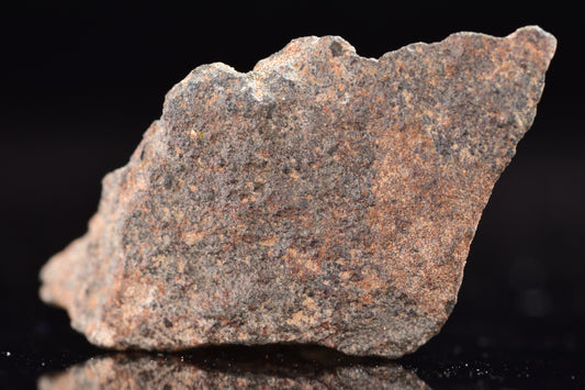 NWA 17489 (CO3.0) Carbonaceous Chondrite Meteorite