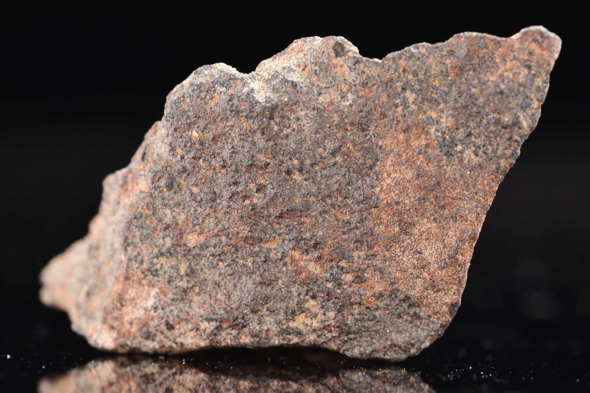 NWA 17489 (CO3.0) Carbonaceous Chondrite Meteorite
