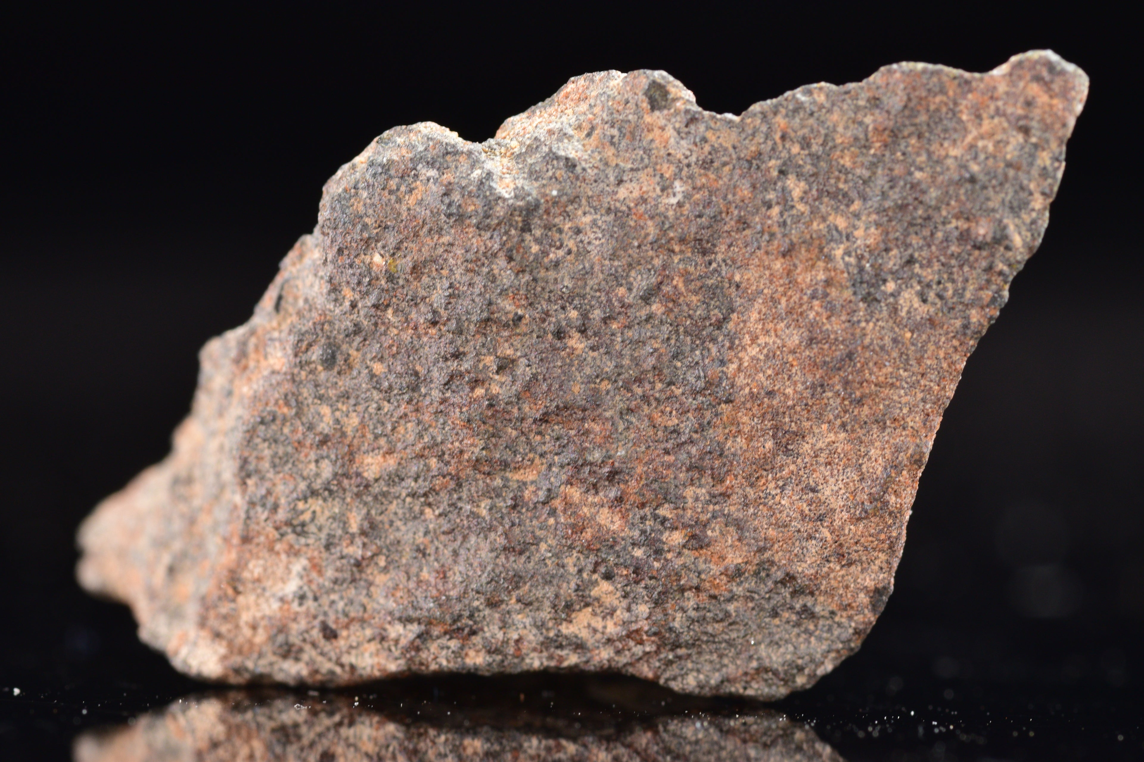 NWA 17489 (CO3.0) Carbonaceous Chondrite Meteorite