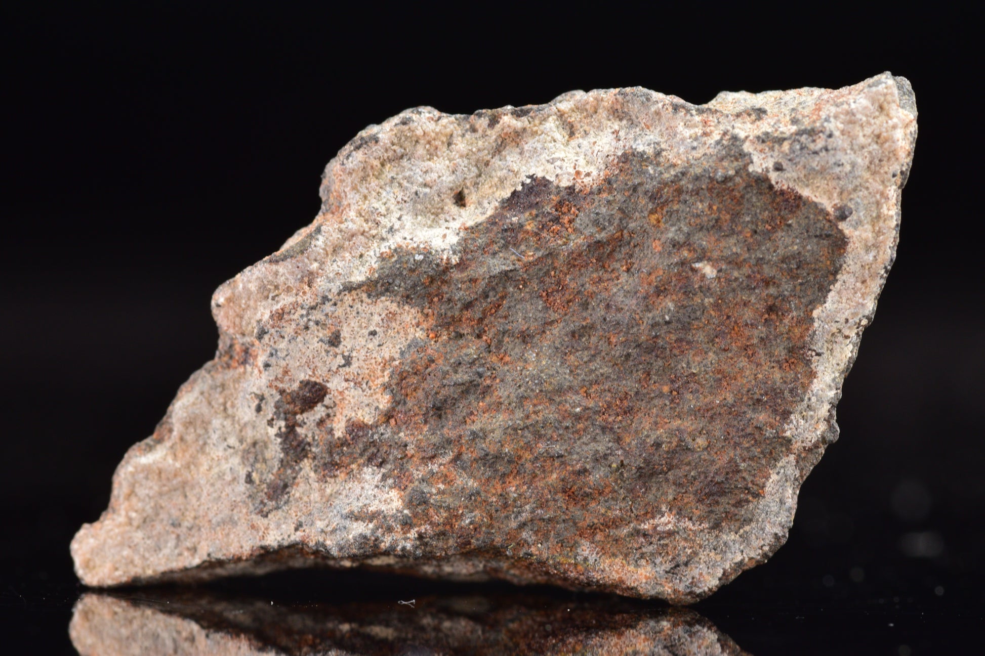 NWA 17489 (CO3.0) Carbonaceous Chondrite Meteorite