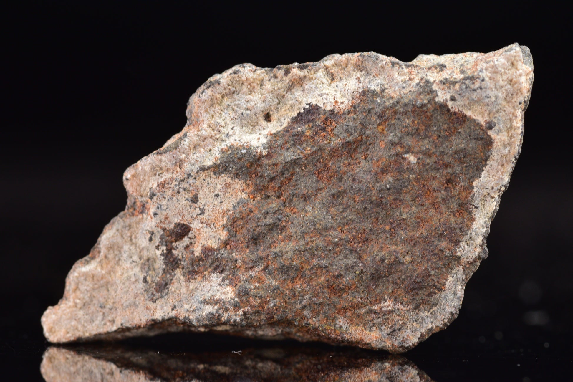 NWA 17489 (CO3.0) Carbonaceous Chondrite Meteorite