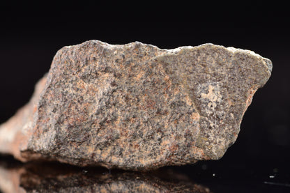 NWA 17489 (CO3.0) Carbonaceous Chondrite Meteorite