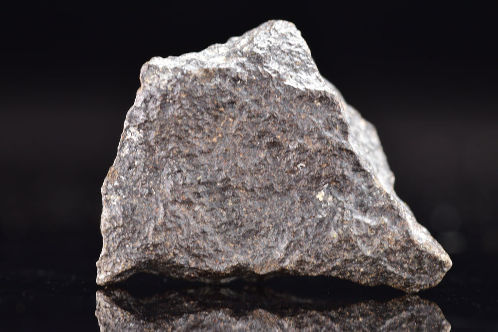 NWA 17489 (CO3.0) Carbonaceous Chondrite Meteorite