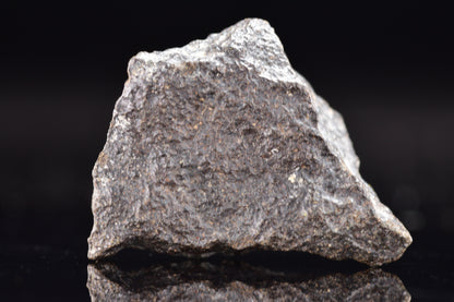 NWA 17489 (CO3.0) Carbonaceous Chondrite Meteorite