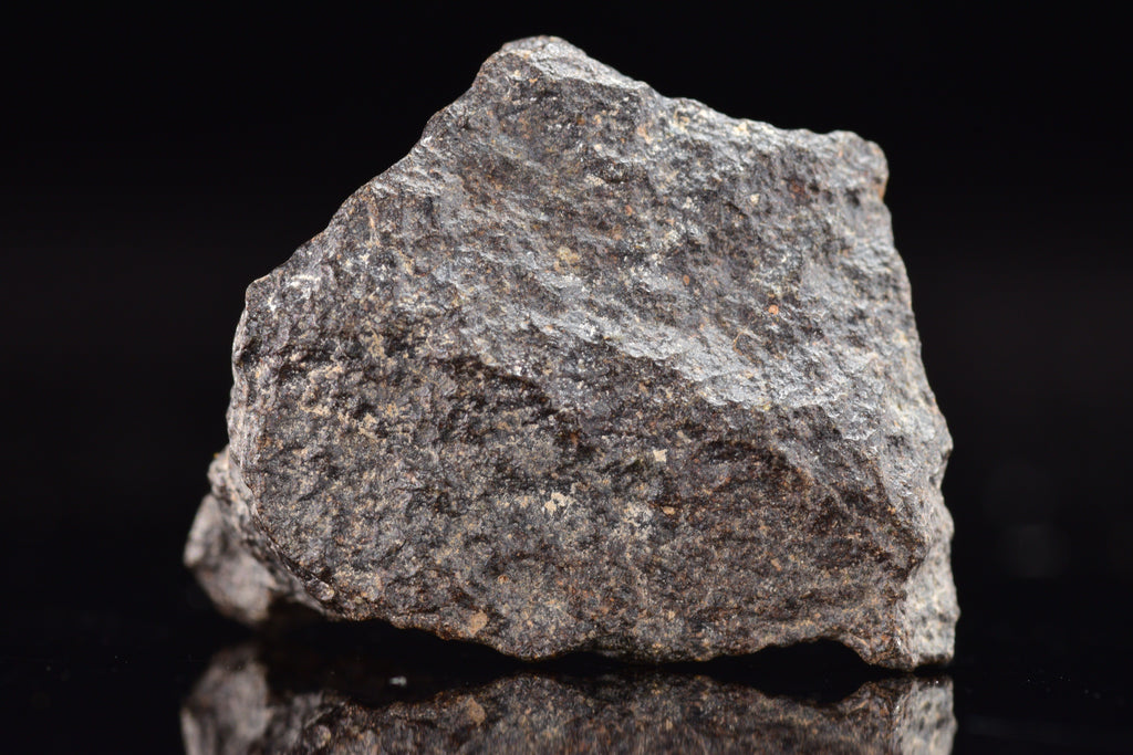 NWA 17489 (CO3.0) Carbonaceous Chondrite Meteorite