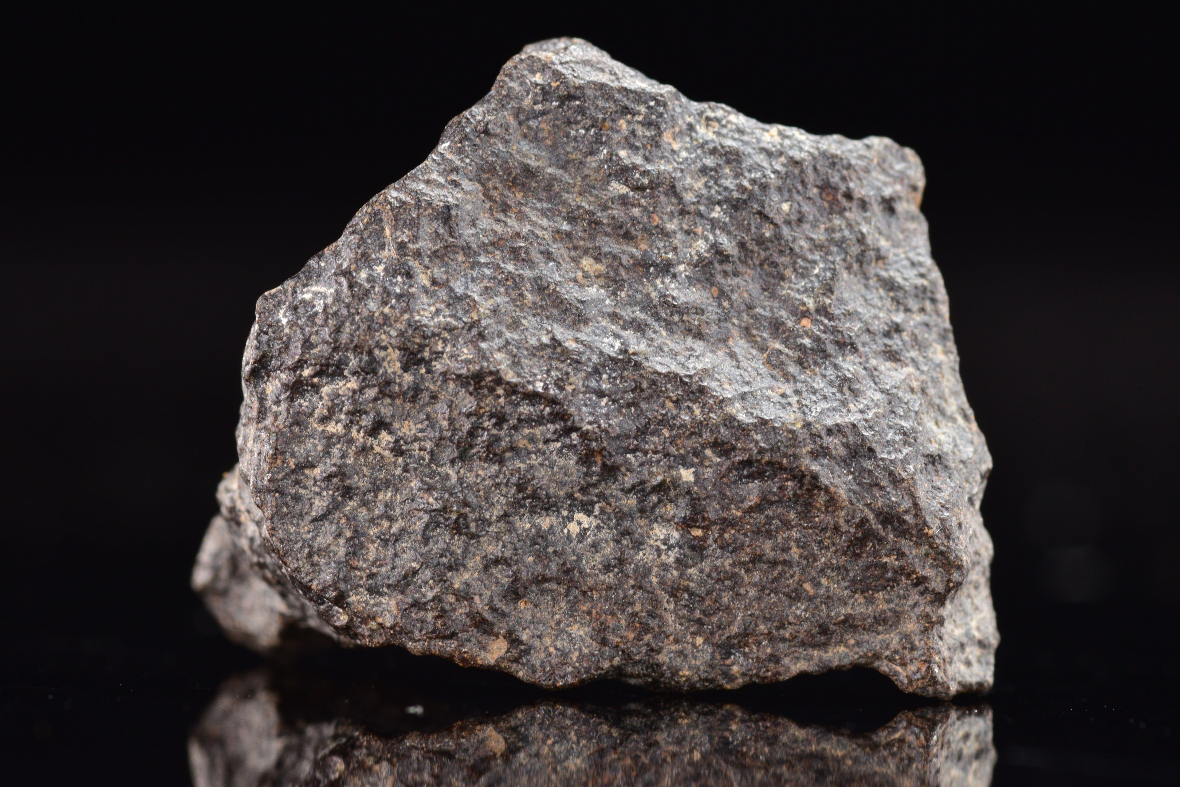 NWA 17489 (CO3.0) Carbonaceous Chondrite Meteorite