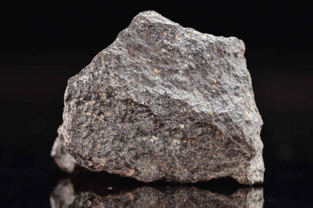 NWA 17489 (CO3.0) Carbonaceous Chondrite Meteorite