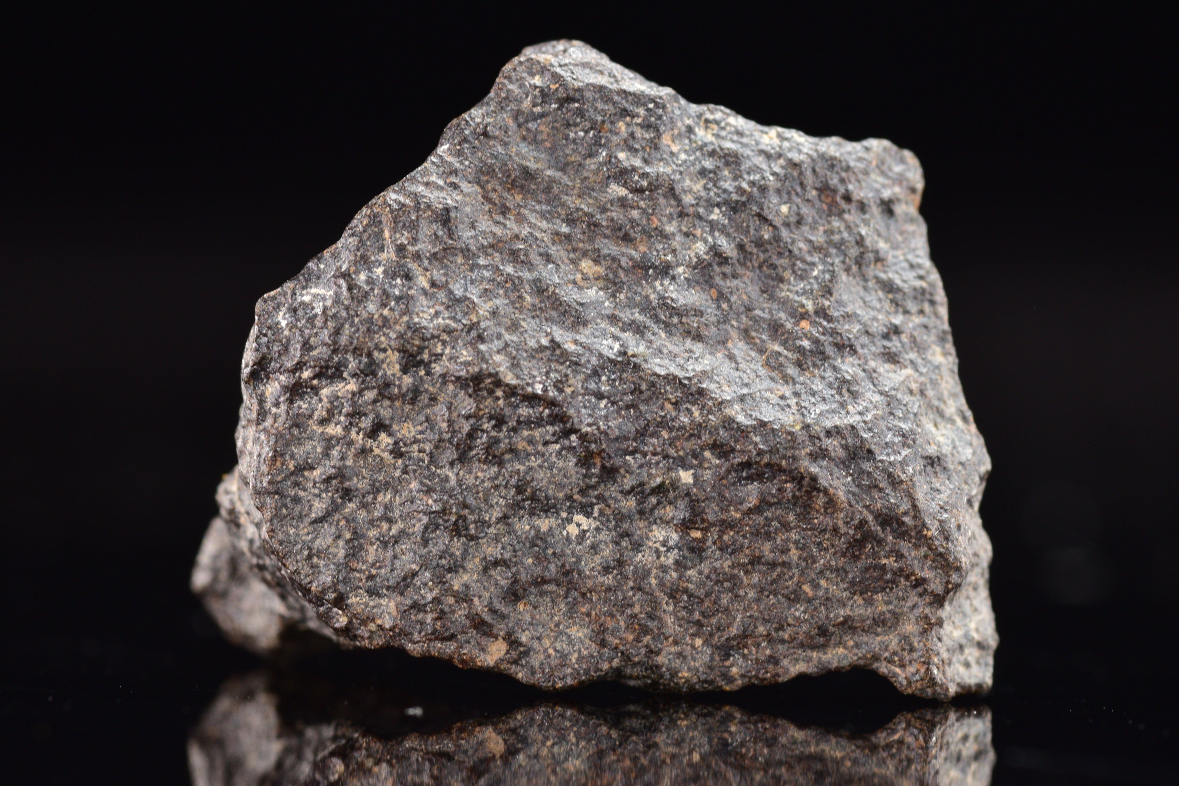 NWA 17489 (CO3.0) Carbonaceous Chondrite Meteorite