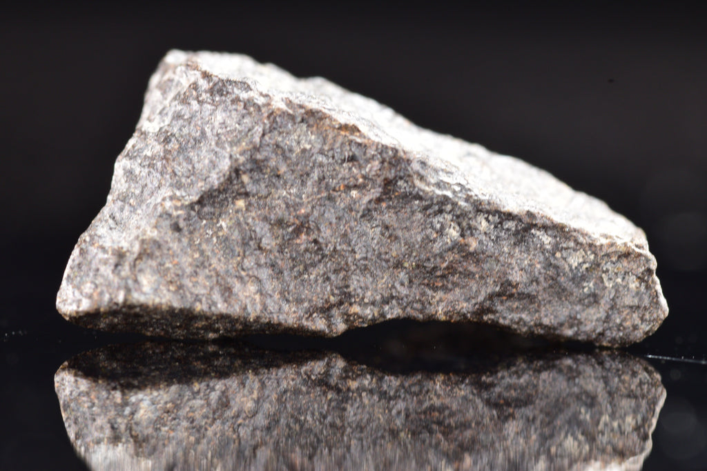 NWA 17489 (CO3.0) Carbonaceous Chondrite Meteorite