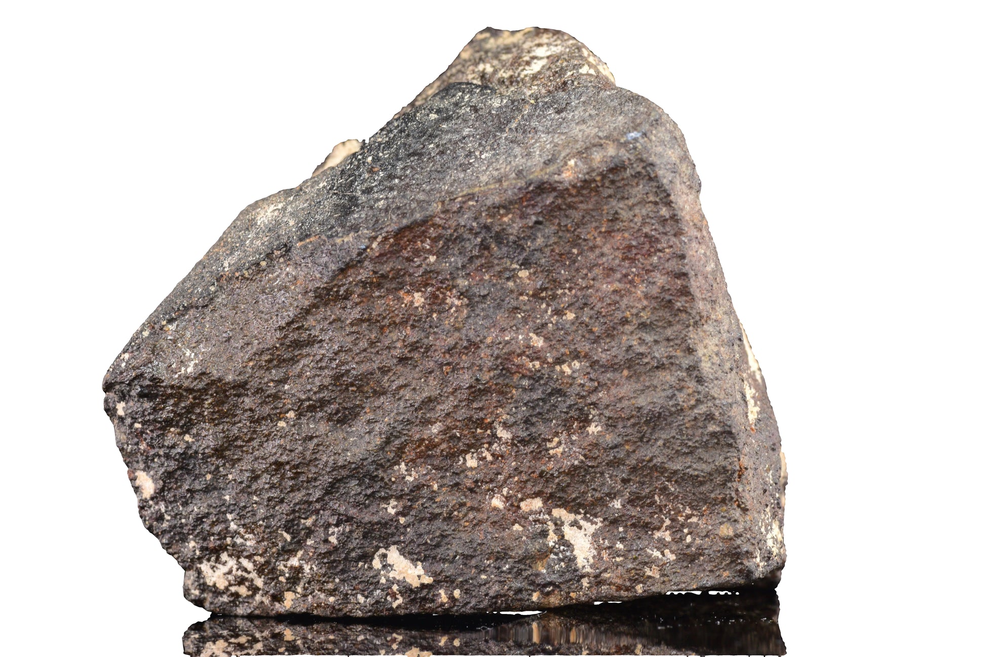 NWA 17489 (CO3.0) Carbonaceous Chondrite Meteorite