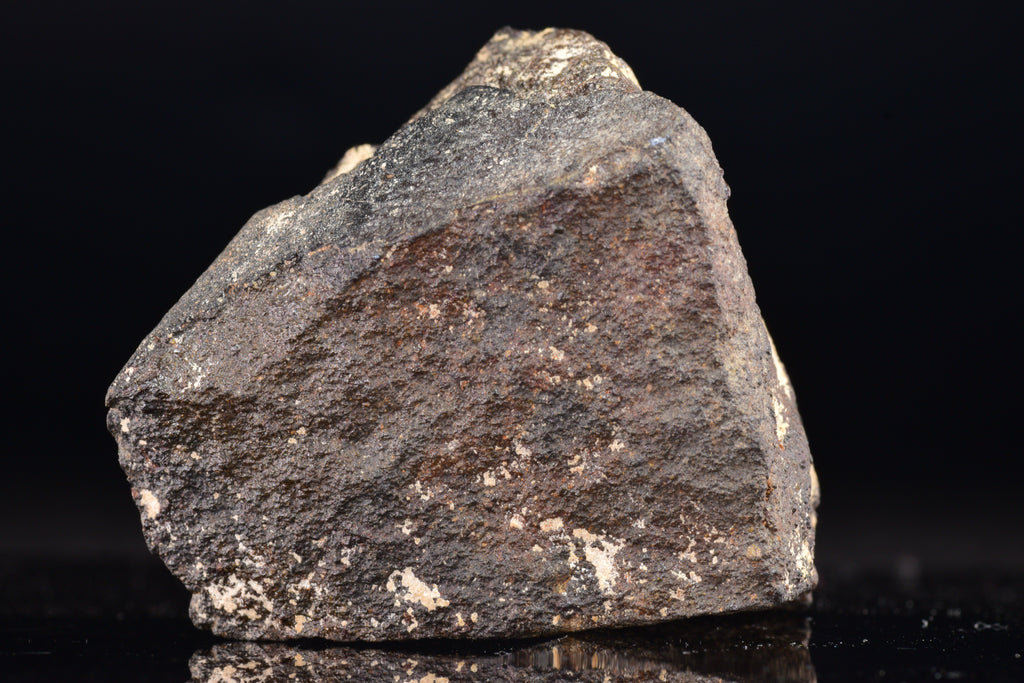 NWA 17489 (CO3.0) Carbonaceous Chondrite Meteorite