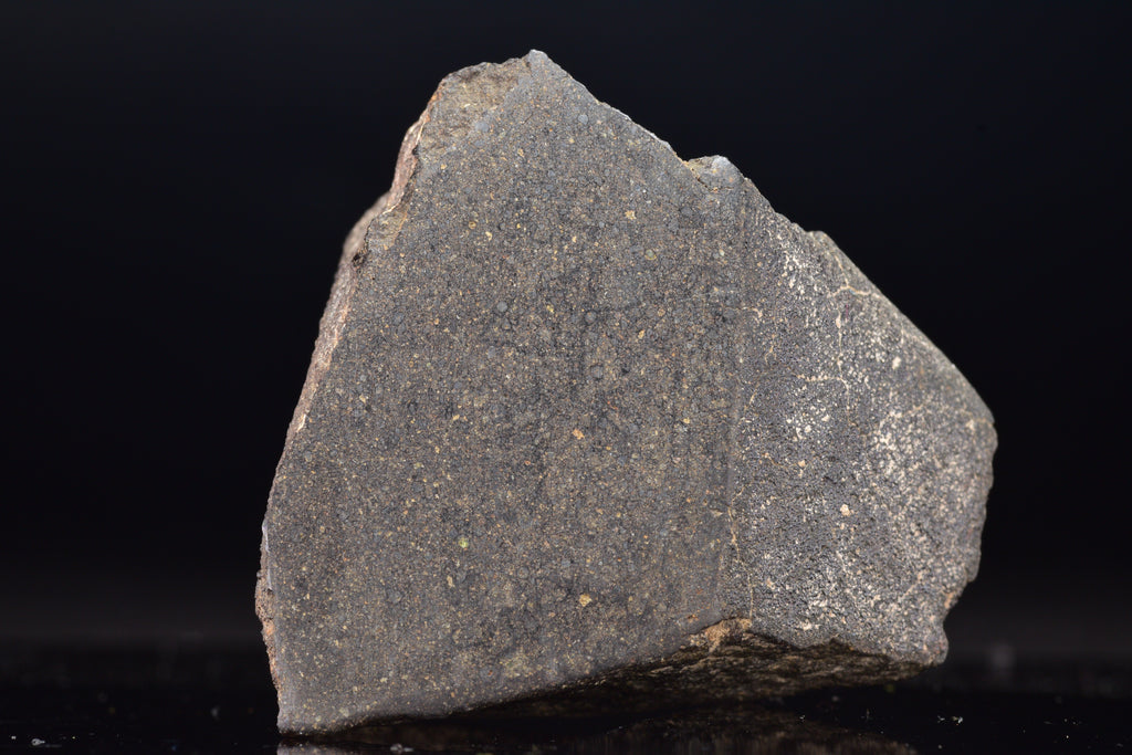 NWA 17489 (CO3.0) Carbonaceous Chondrite Meteorite