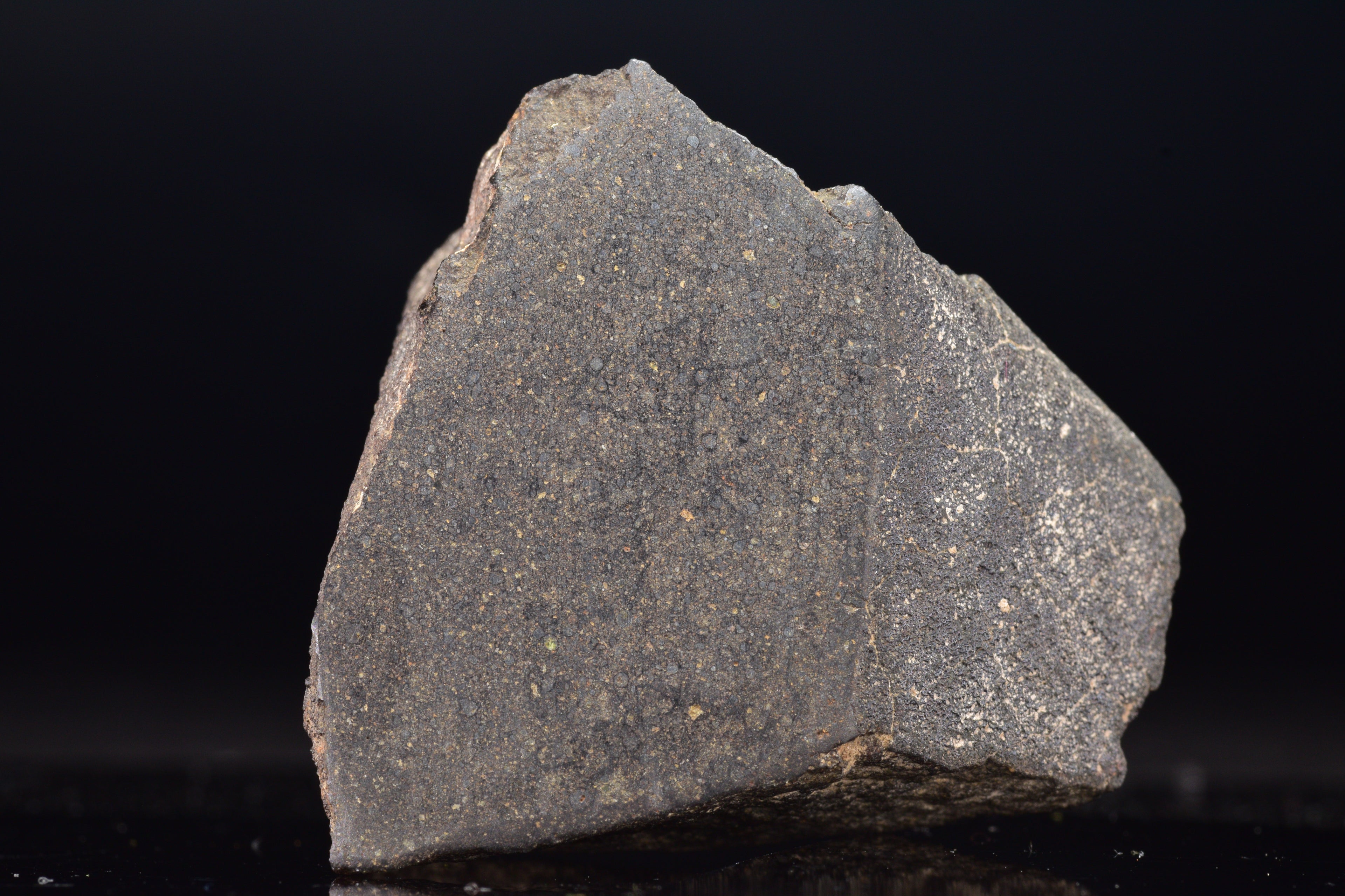 NWA 17489 (CO3.0) Carbonaceous Chondrite Meteorite