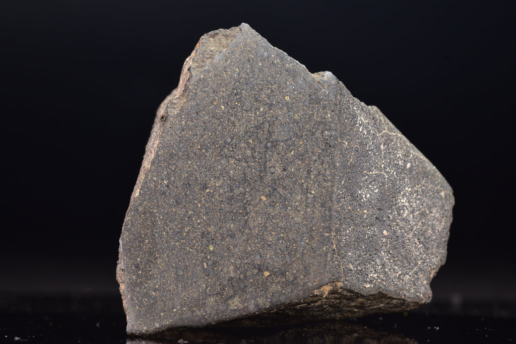 NWA 17489 (CO3.0) Carbonaceous Chondrite Meteorite