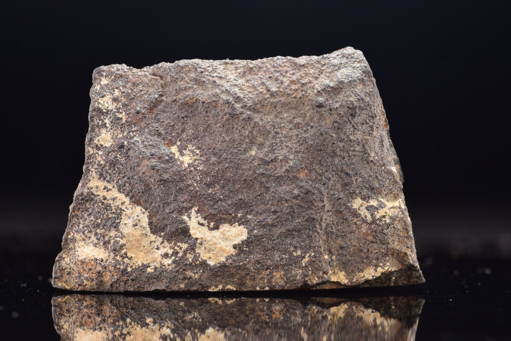 NWA 17489 (CO3.0) Carbonaceous Chondrite Meteorite