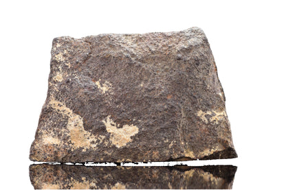 NWA 17489 (CO3.0) Carbonaceous Chondrite Meteorite