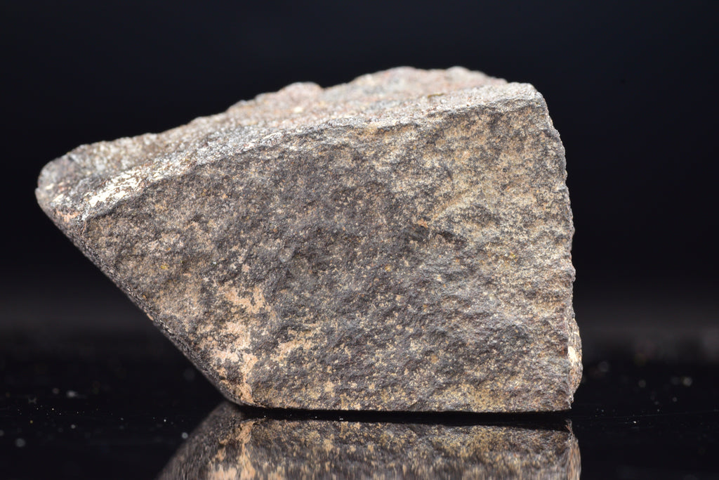 NWA 17489 (CO3.0) Carbonaceous Chondrite Meteorite