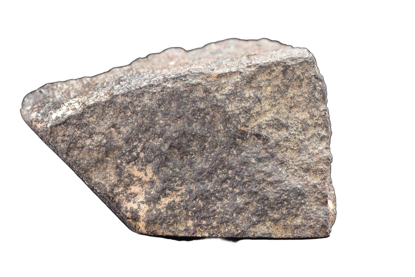 NWA 17489 (CO3.0) Carbonaceous Chondrite Meteorite