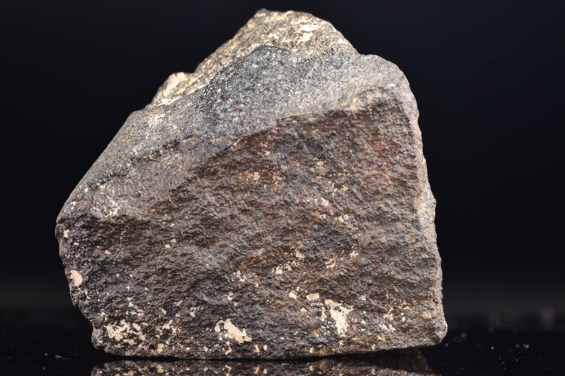 NWA 17489 (CO3.0) Carbonaceous Chondrite Meteorite