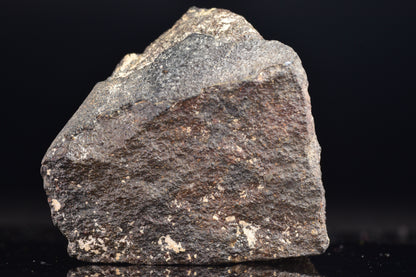 NWA 17489 (CO3.0) Carbonaceous Chondrite Meteorite
