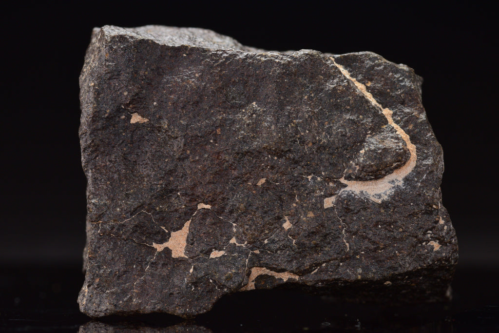 NWA 17489 (CO3.0) Carbonaceous Chondrite Meteorite&nbsp;