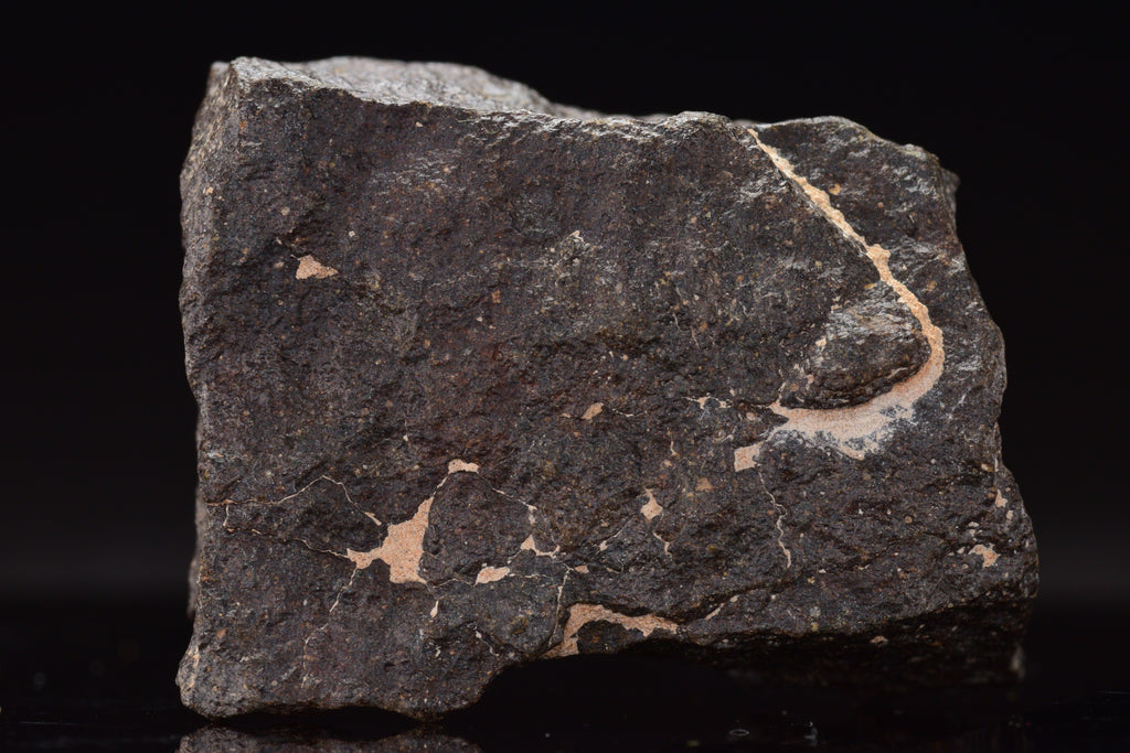NWA 17489 (CO3.0) Carbonaceous Chondrite Meteorite&nbsp;