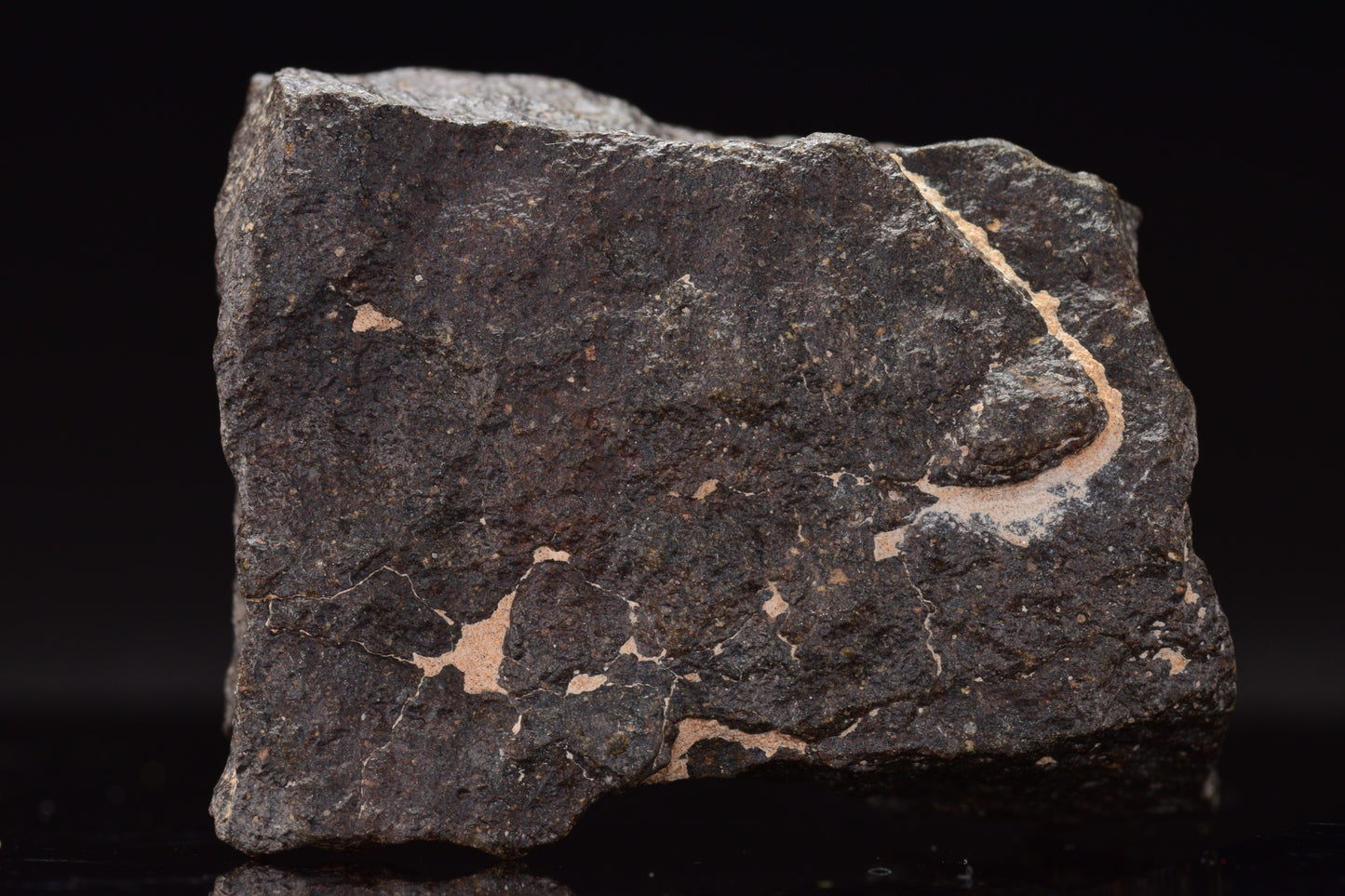 NWA 17489 (CO3.0) Carbonaceous Chondrite Meteorite&nbsp;
