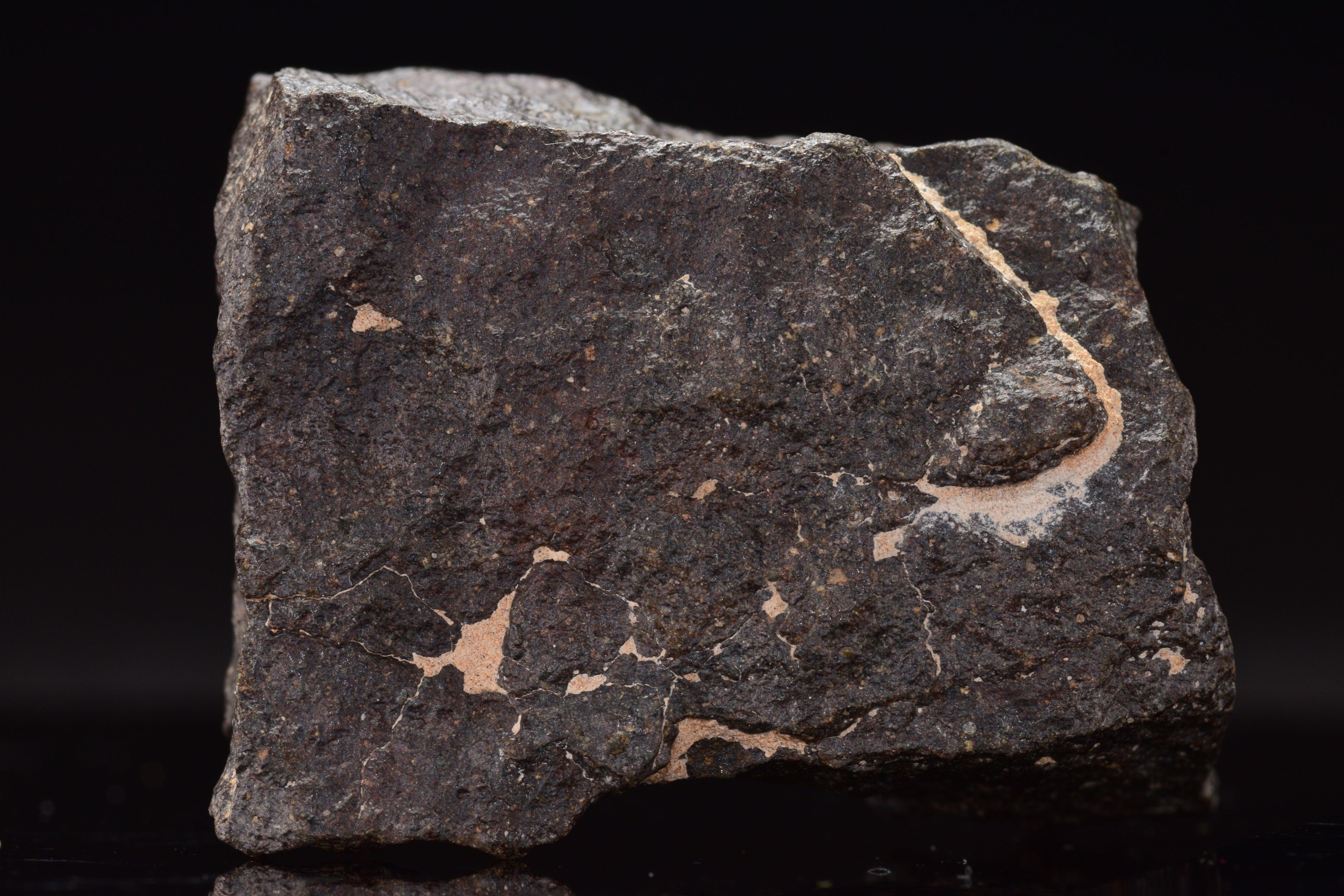NWA 17489 (CO3.0) Carbonaceous Chondrite Meteorite&nbsp;