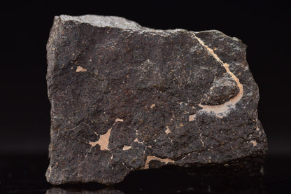 NWA 17489 (CO3.0) Carbonaceous Chondrite Meteorite&nbsp;