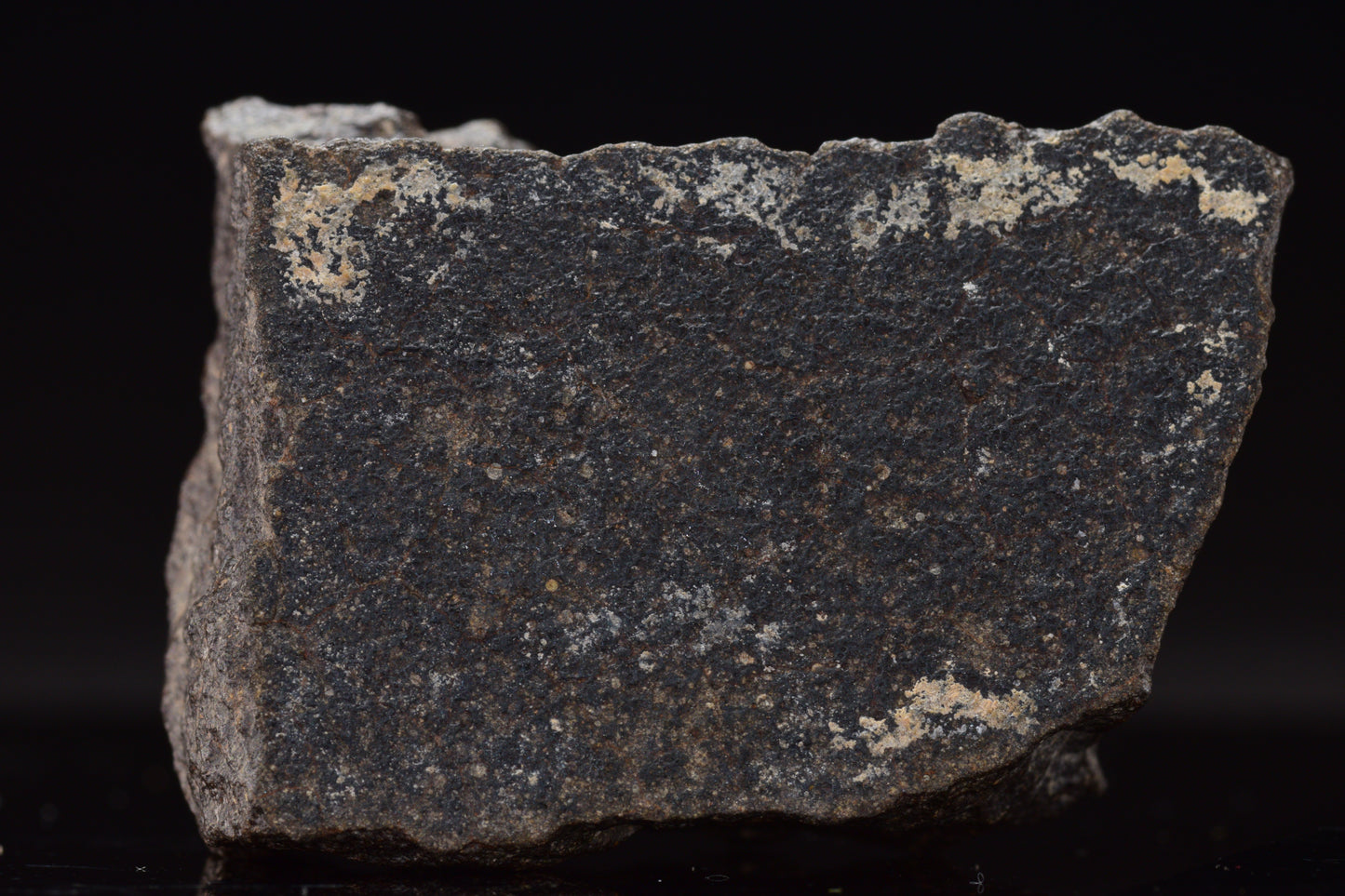 NWA 17489 (CO3.0) Carbonaceous Chondrite Meteorite&nbsp;