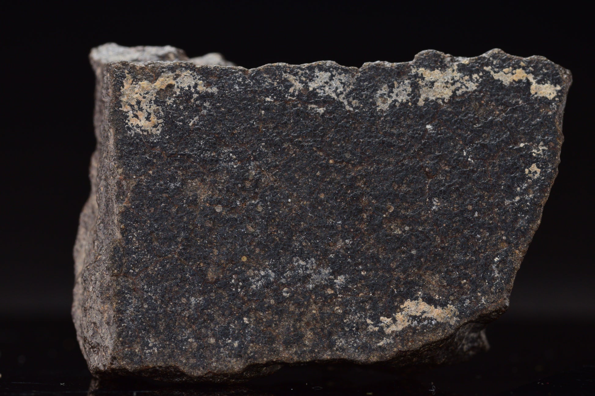 NWA 17489 (CO3.0) Carbonaceous Chondrite Meteorite&nbsp;