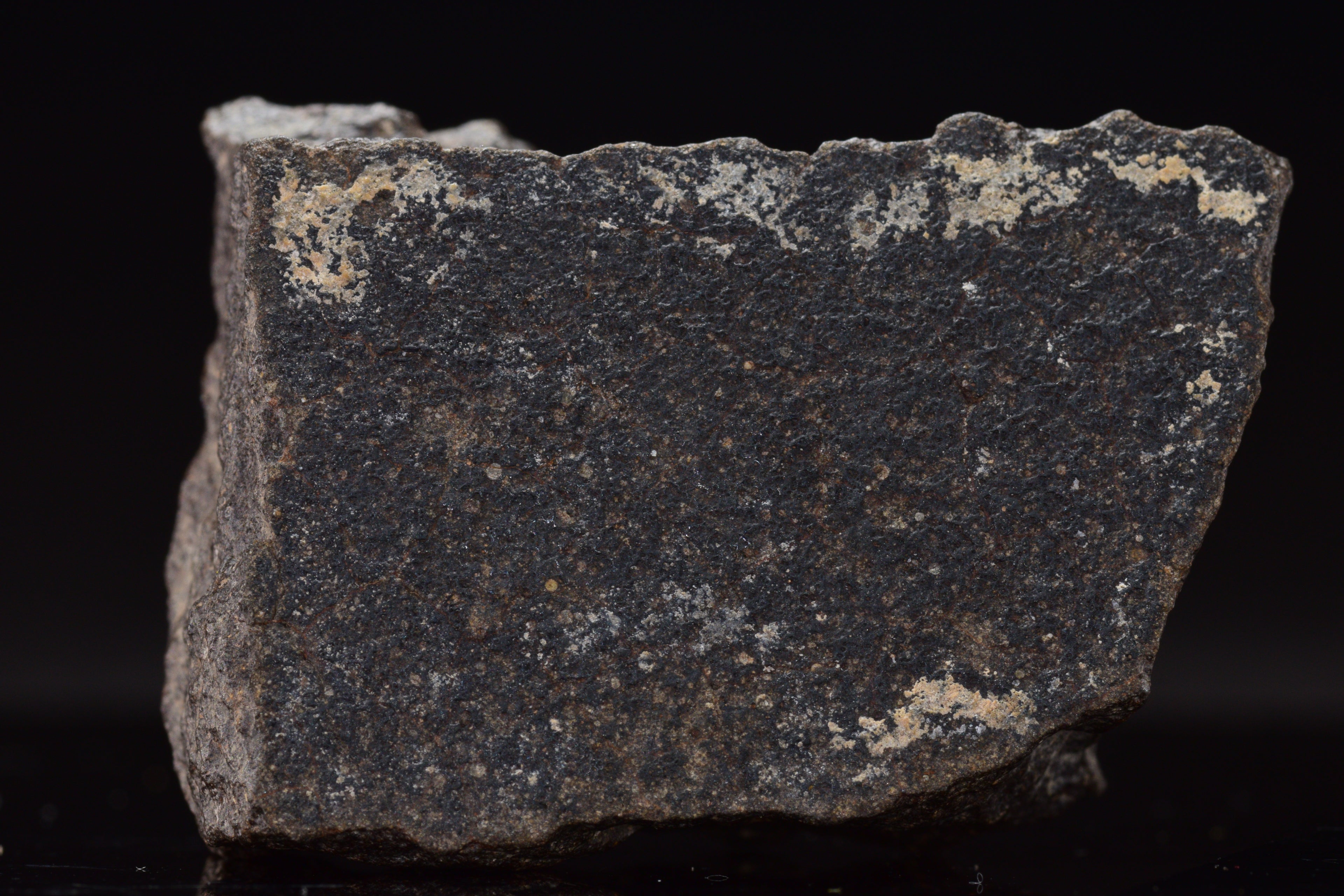 NWA 17489 (CO3.0) Carbonaceous Chondrite Meteorite&nbsp;