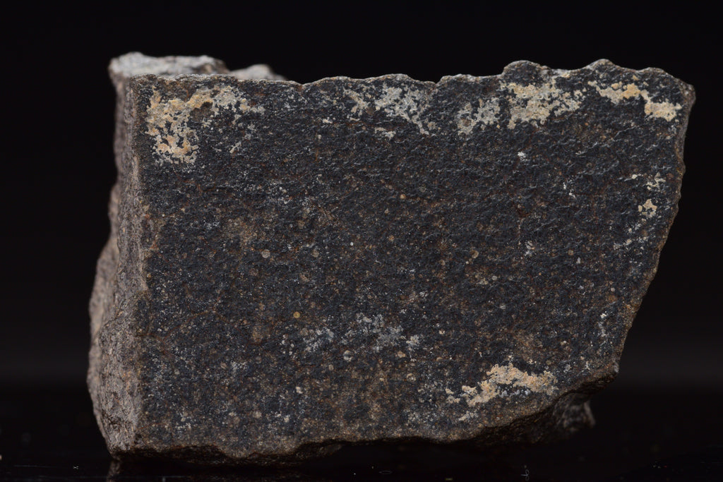 NWA 17489 (CO3.0) Carbonaceous Chondrite Meteorite&nbsp;