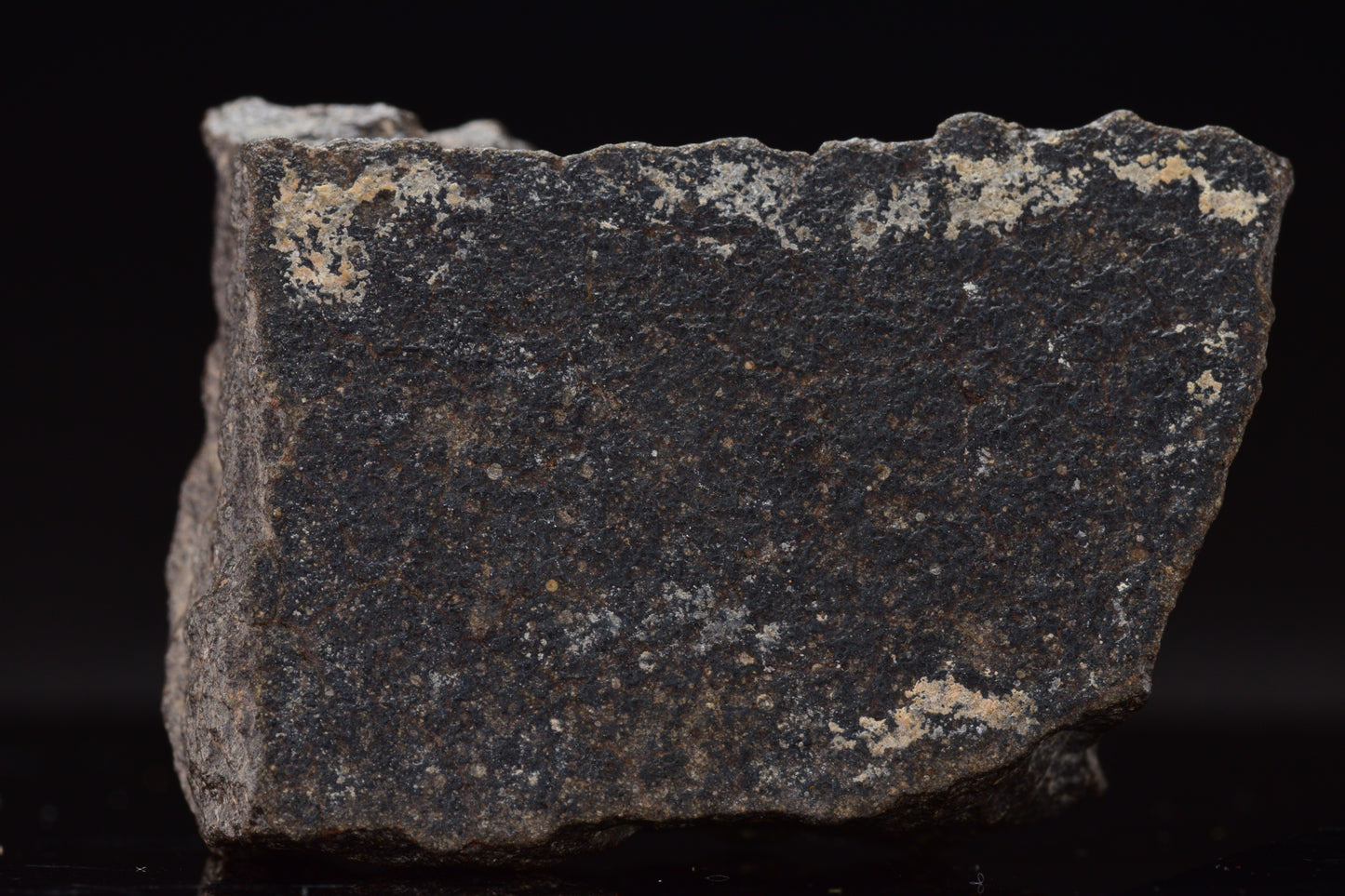 NWA 17489 (CO3.0) Carbonaceous Chondrite Meteorite&nbsp;