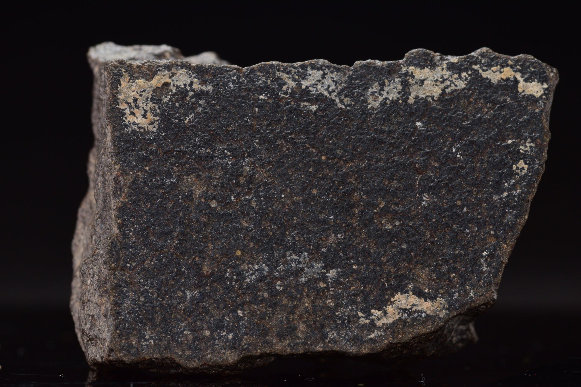 NWA 17489 (CO3.0) Carbonaceous Chondrite Meteorite&nbsp;