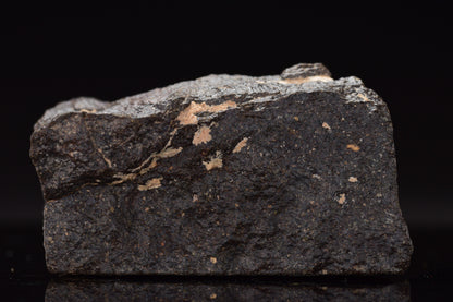 NWA 17489 (CO3.0) Carbonaceous Chondrite Meteorite&nbsp;