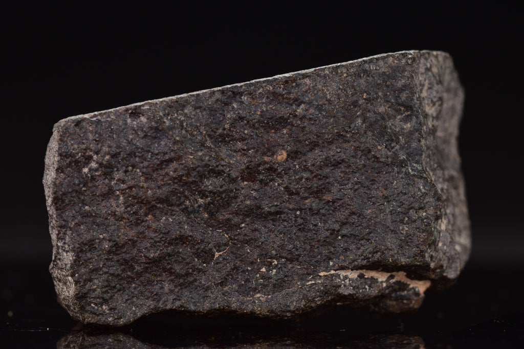 NWA 17489 (CO3.0) Carbonaceous Chondrite Meteorite&nbsp;